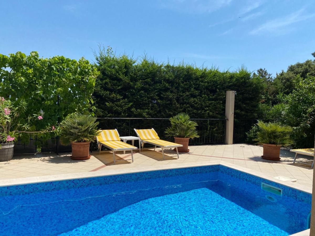 Apartments Villa Viktoria Tivat Buitenkant foto